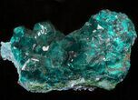 Gemmy Dioptase Cluster (Large Crystals) - Namibia #44660-2